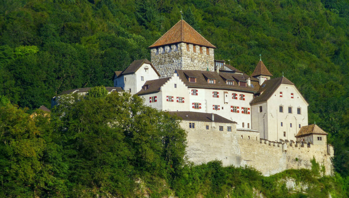 Mittelalterliche Burganlage auf einer Felsterrasse an einem bewaldeten Hügel.