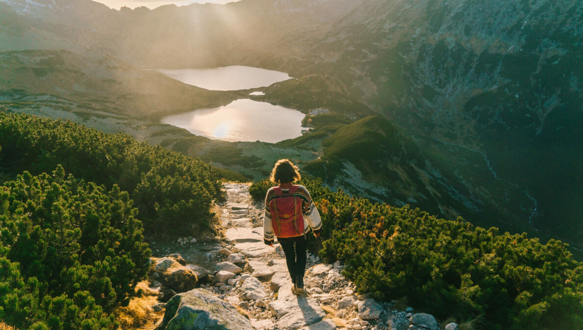 Rückansicht einer Frau im Pullover mit Rucksack auf einem Wanderweg im grünen Gebirge vor zwei Bergseen im Gegenlicht.