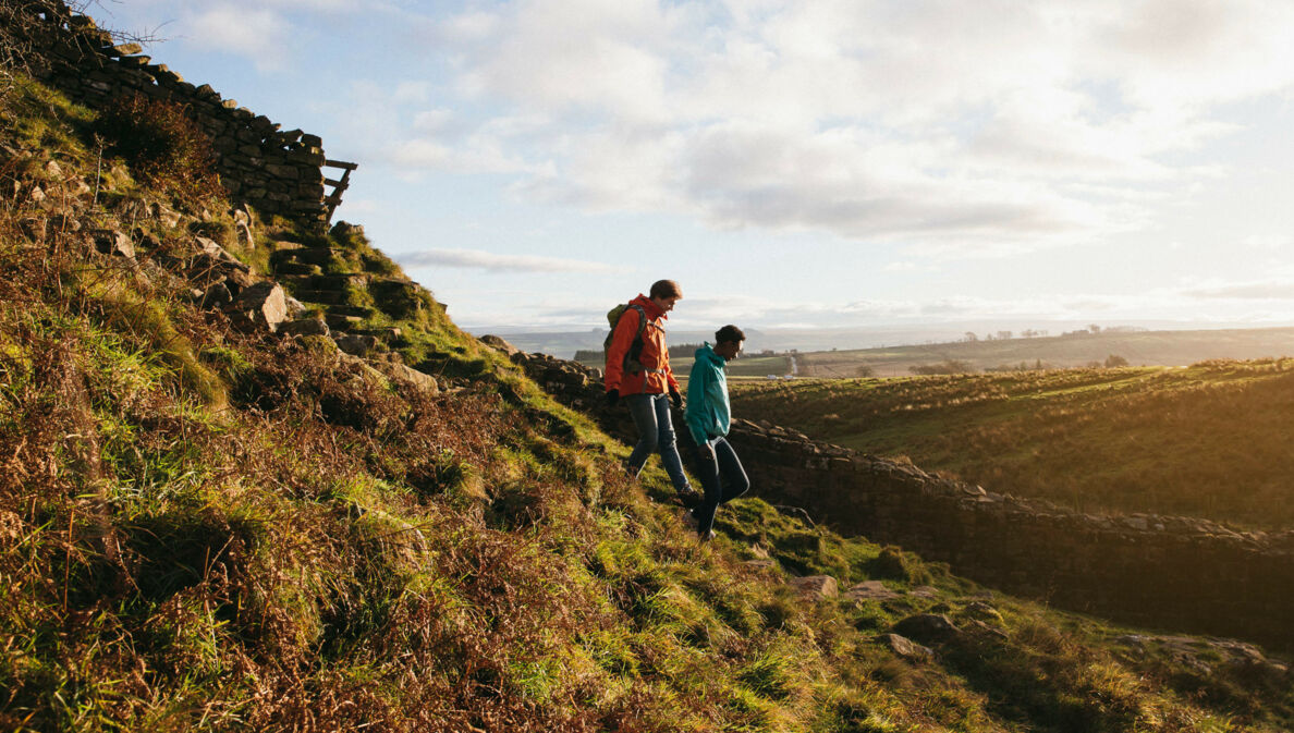 Zwei Personen laufen einen grünen Hügel am Hadrianswall hinab.