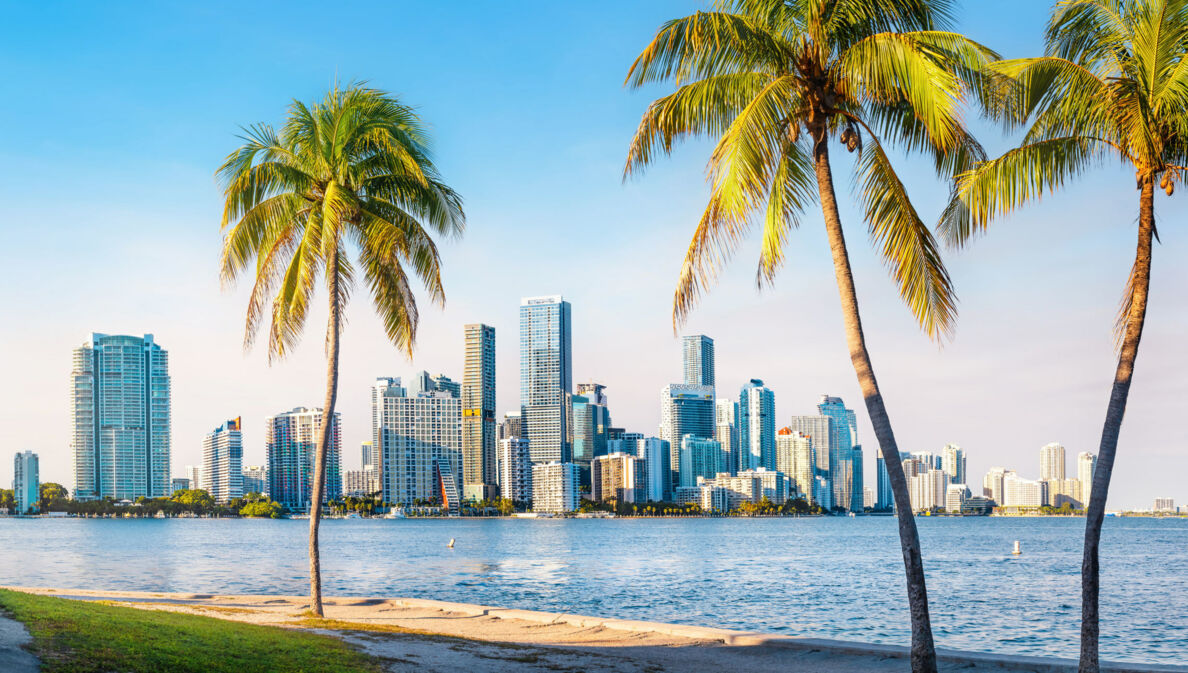 Blick auf die Skyline von Miami mit Wasser und Palmen am Strand im Vordergrund