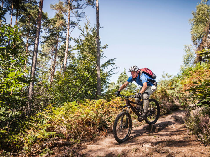 Ein Mountainbiker fährt auf einem Weg einen Hügel umgeben mit Bäumen und Büschen herunter