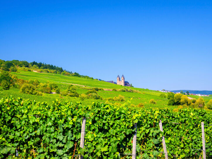 Eine mittelalterliche Abtei inmitten eines Weinbergs