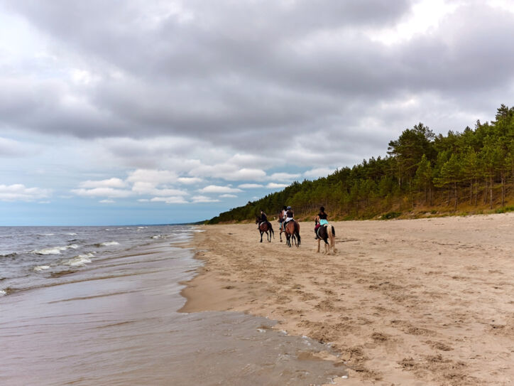 Vier Menschen auf Pferden reiten einen Strand entlang