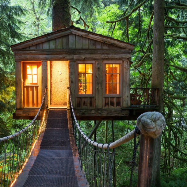 Ein beleuchtetes Baumhaus mit Hängebrücke im Wald