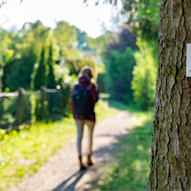 Eine Frau geht einen geschotterten schmalen Wanderweg entlang