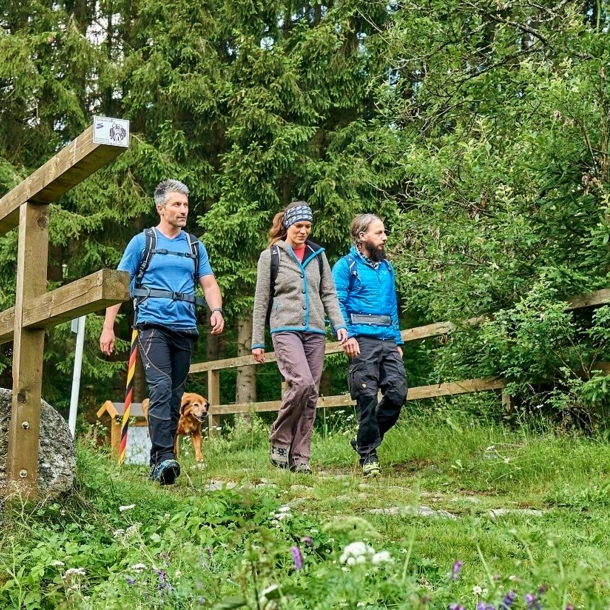 Drei Wandernde und ein Hund laufen über eine Brücke im Grünen