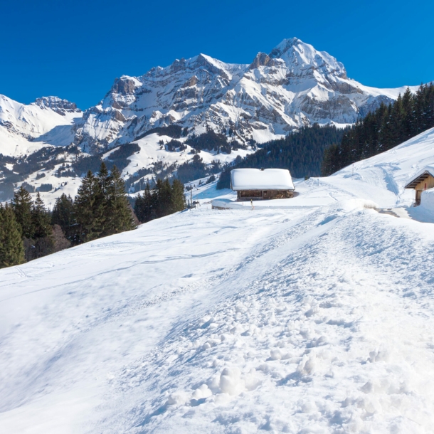 Das Skigebiet rund um Adelboden im Berner Oberland