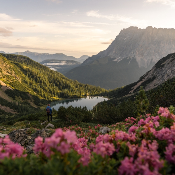 Eine Person steht an einem Bergsee inmitten grüner Vegetation vor Bergpanorama, im Vordergrund blühen rosafarbene Blumen