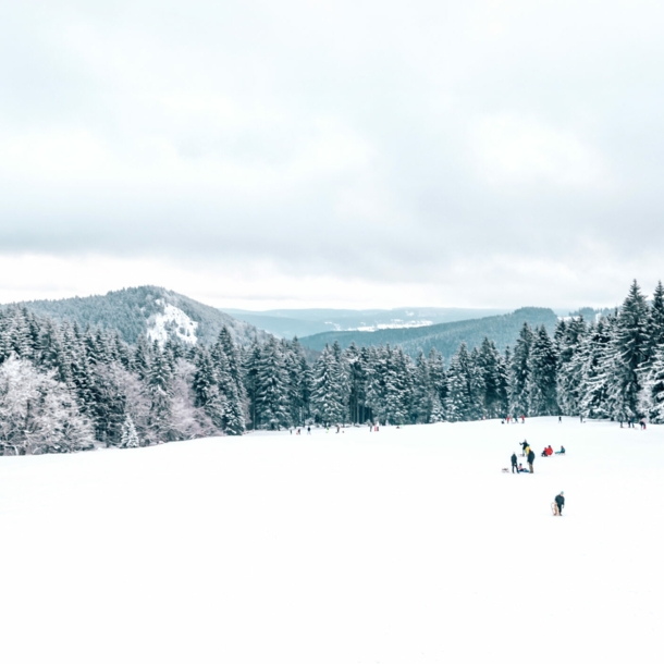 Eine schneebedeckte Freifläche mit Menschen, im Hintergrund Tannenwälder und Bergketten.