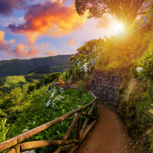 Panoramaweg mit blühender Vegetation mit Blick auf die felsige Küste der Azoreninsel São Miguel