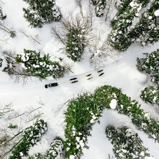 Drohnenaufnahme von einem Hundeschlitten in Lappland