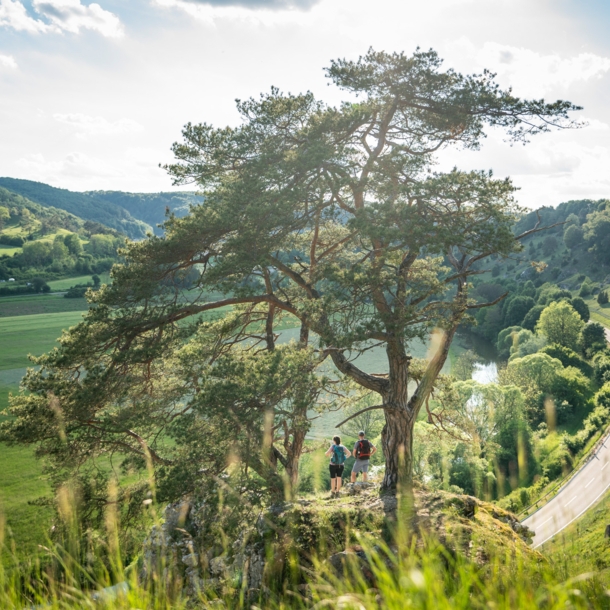 Zwei Wanderer Stehen auf einem Felsen im Altmühltal.