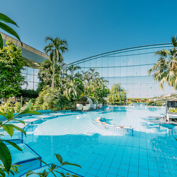 Eine von tropischen Pflanzen umgebene Outdoor-Poollandschaft vor einem verspiegeltem Gebäudekomplex