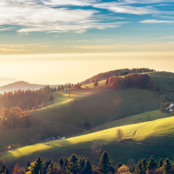 Blick über den Schwarzwald.