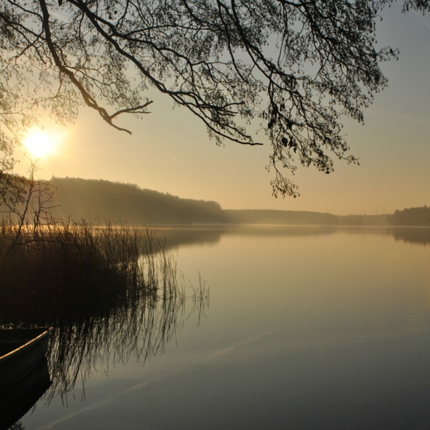 Blick auf einen See, im Vordergrund Schilf und ein Ruderboot