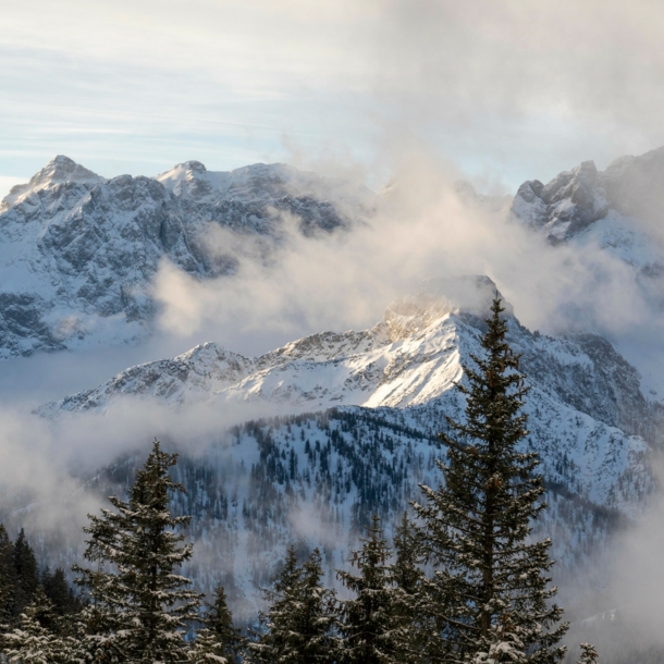 Schneebedeckte Berge, um die tiefhängende Wolken ziehen, im Vordergrund dunkle Tannen