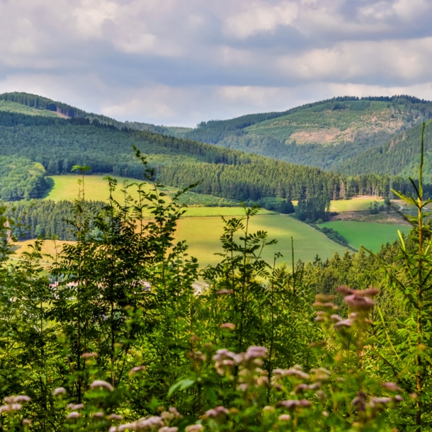 Eine Landschaft mit Bergen im Hintergrund