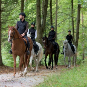 Eine Gruppe von reitenden Personen auf einem Waldweg