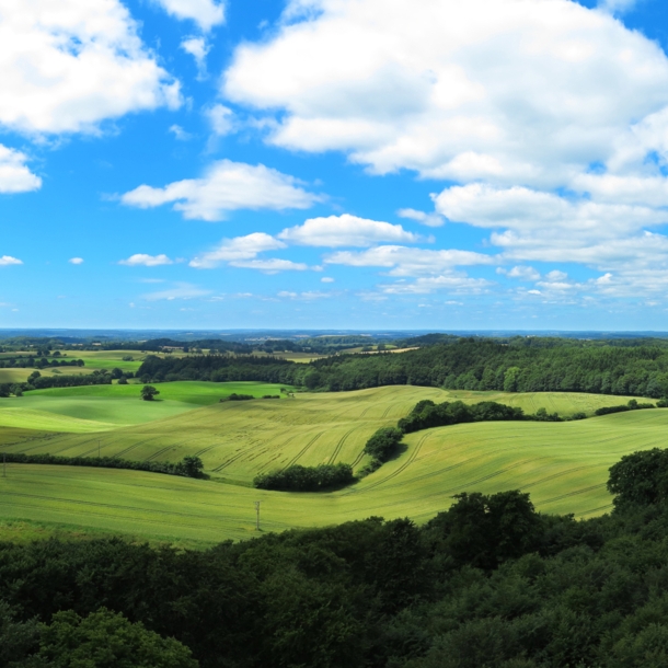 Der Bungsberg in der Holsteinischen Schweiz