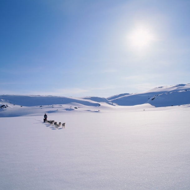 Ein Hundeschlitten im Schnee.