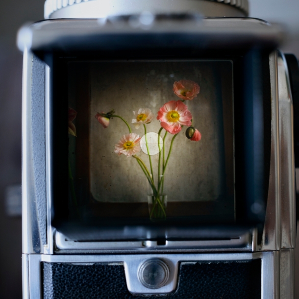 Eine Vase mit Blumen im Sucher einer alten Kamera