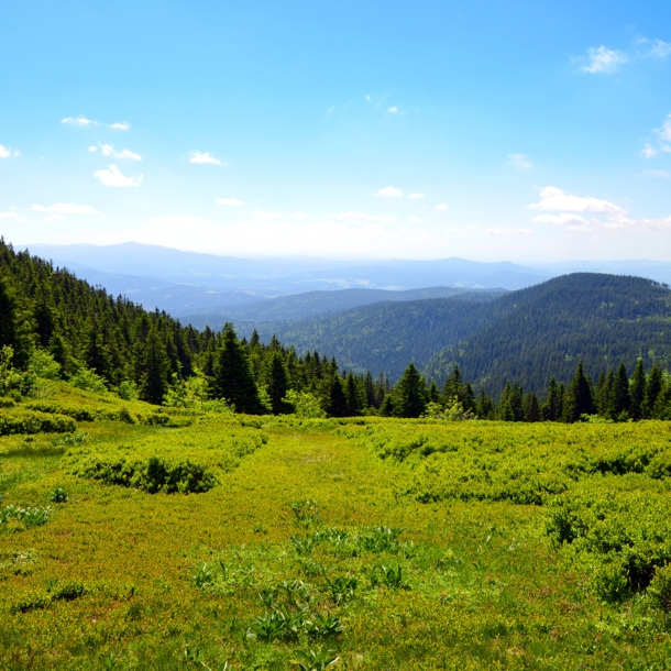 Blick von einem Berg über eine hügelige Berglandschaft