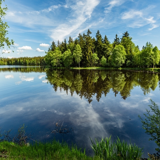 Ein See, von Nadelbäumen gesäumt