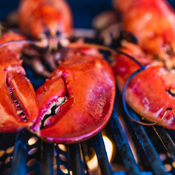 Hummer auf einem Grill