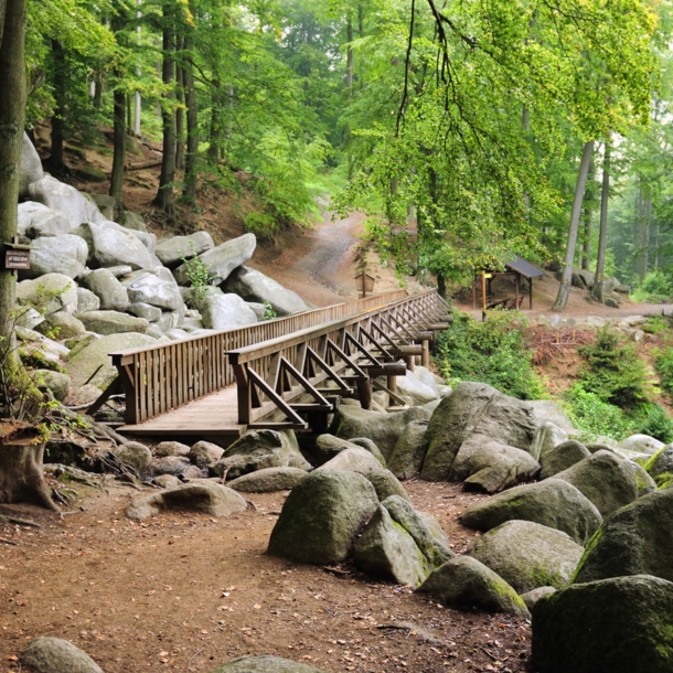 Holzsteg über Felsen im Naturpark Bergstraße-Odenwald