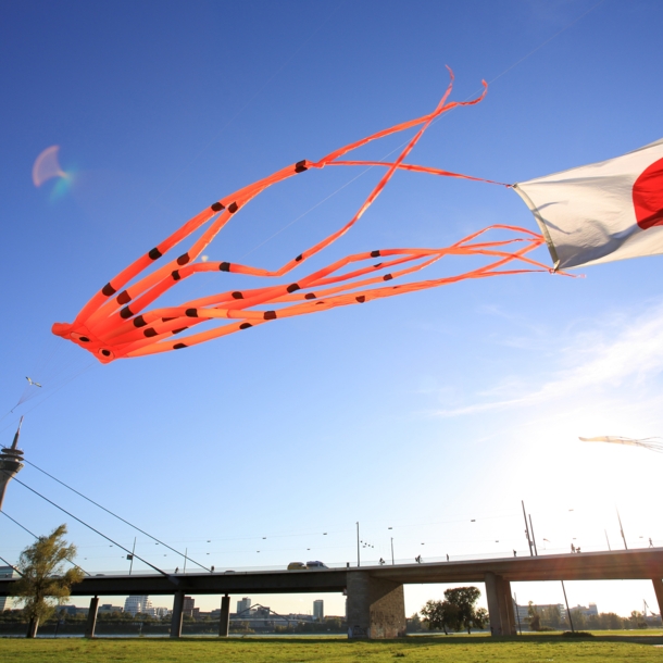 Ein Drache in Oktopusform und eine Japanflagge flattern über dem Rhein in der Luft