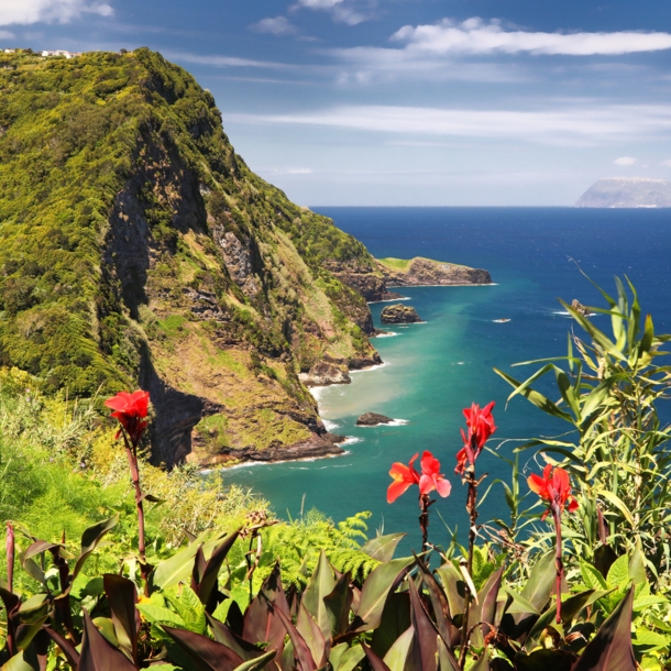 Panoramablick über die Klippen, das Meer und die Flora der Azoreninsel Flores