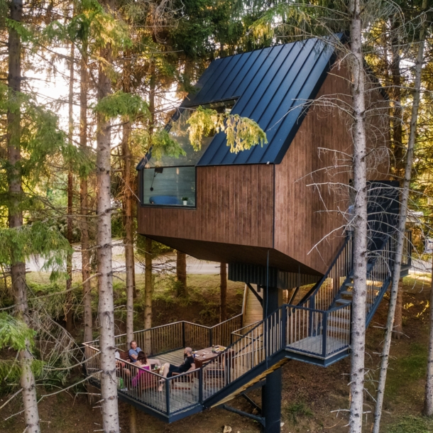 Ein Holzhaus, das zwischen den Baumkronen sitzt