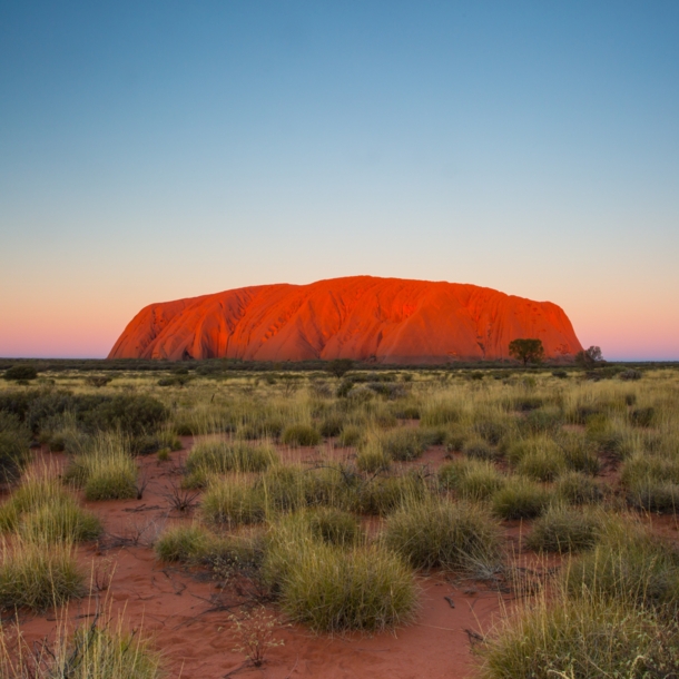 Der gigantische, rote Berg Uluru in einer Steppenlandschaft