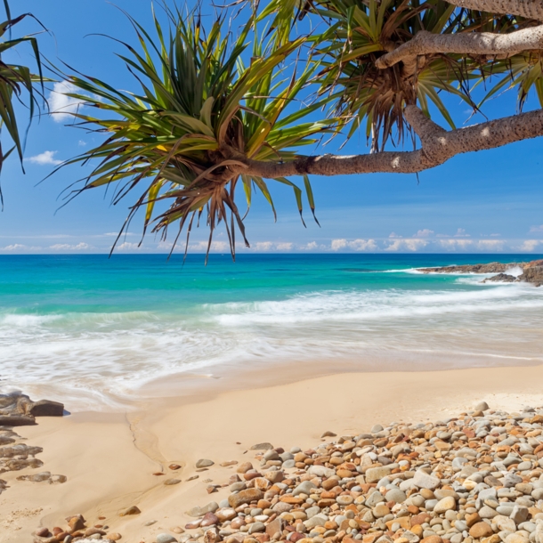 Ein Strand mit Palmen und sanfter Meeresbrandung