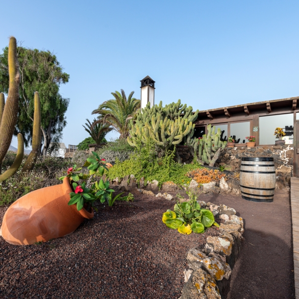 Zugang zu einem Restaurant durch einen mediterranen Garten mit Kakteen