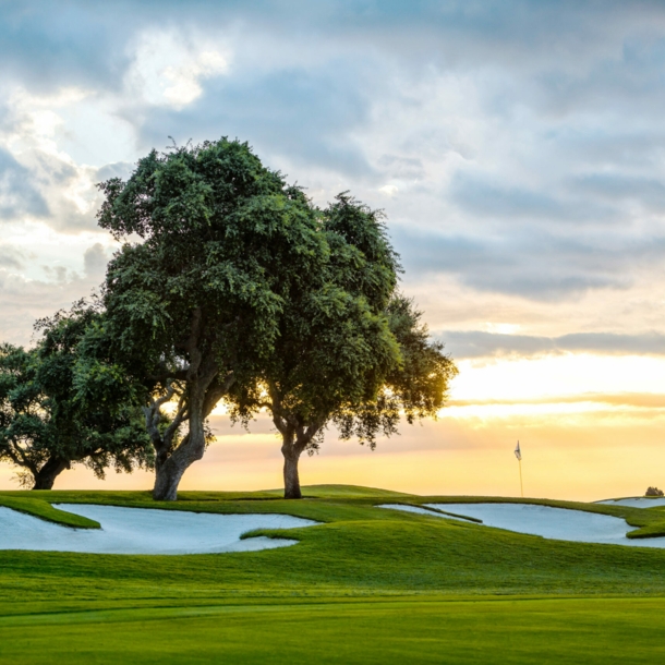 Ein Golfplatz mit Bäumen bei Sonnenuntergang