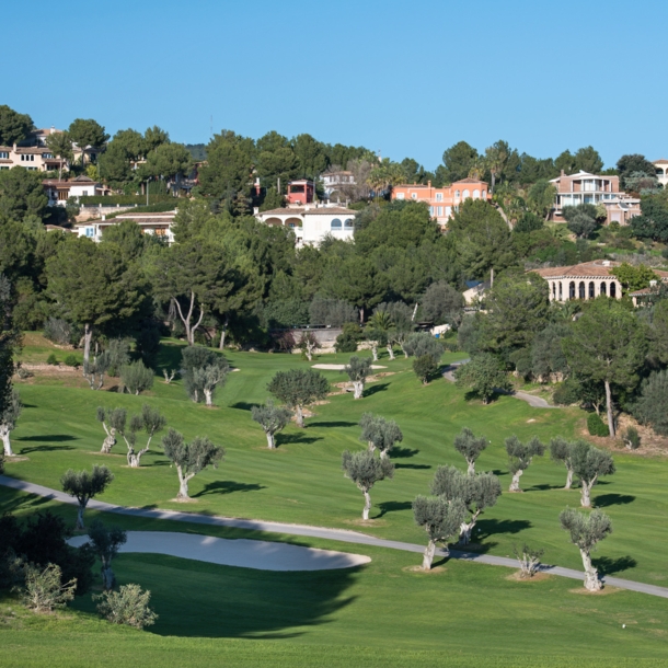 Ausschnitt des Golfklubs mit einem Bunker und vielen kleinen Olivenbäumen, vor der Kulisse des Ortes Bendinat