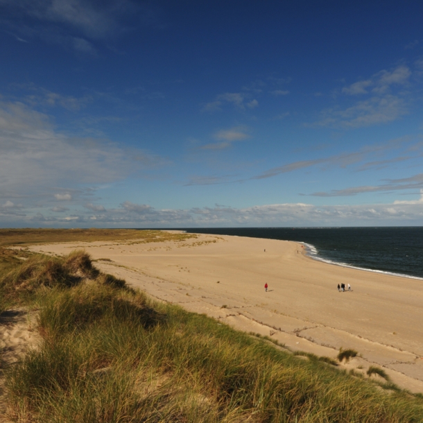 Personen spazieren auf einem breiten Sandstrand an einer grasbewachsenen Dünenlandschaft