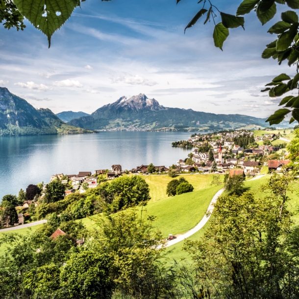 Der Vierwaldstättersee mit Ortschaft, umgeben von Grünflächen, im Hintergrund Bergpanorama.