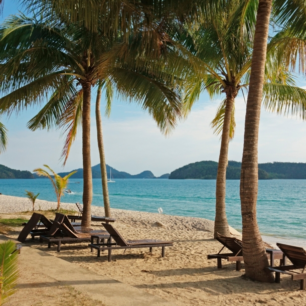 Strandabschnitt mit Palmen und Liegen aus Holz. 