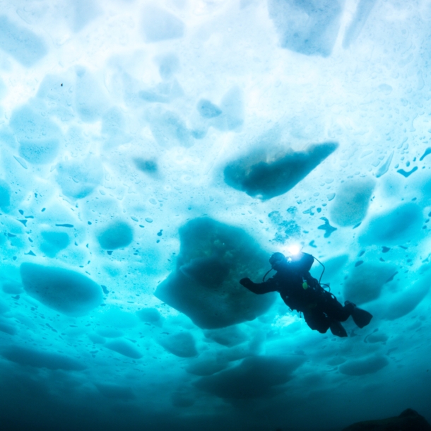 Person in Taucherausrüstung, die im Wasser unter einer Eisdecke schwimmt.