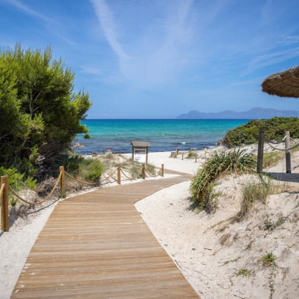 Ein Holzsteg führt durch Dünen zu einem Sandstrand am türkisblauen Meer.