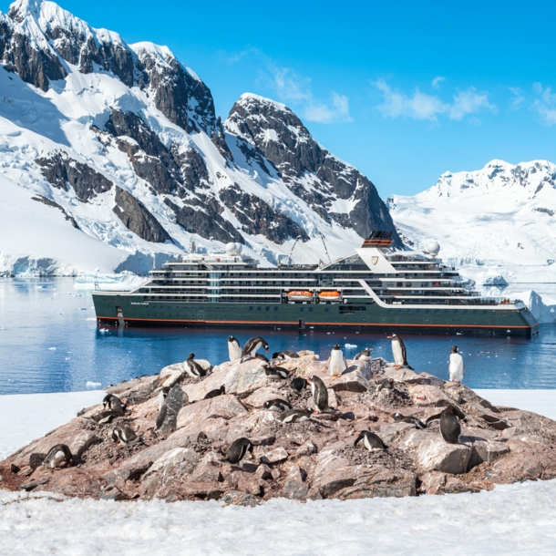 Ein Expeditionsschiff in der Antarktis, im Vordergrund Pinguine auf Felsbrocken im Schnee.