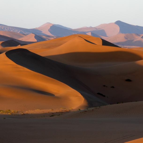 Panoramaaufnahme von Dünen in der Wüste Gobi.