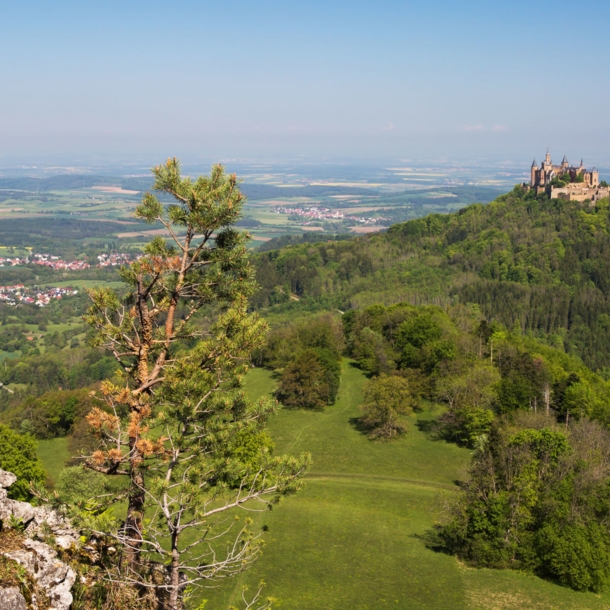 Panorama in der Schwäbischen Alb mit Burg Hohenzollern.