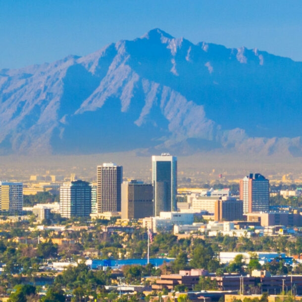 Skyline von Phoenix mit Hochhäusern vor Gebirgspanorama, im Vordergrund ein Kaktus auf einem Hügel.