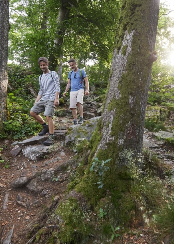 Zwei Männer gehen durch einen Wald einen steinigen Hügel herunter