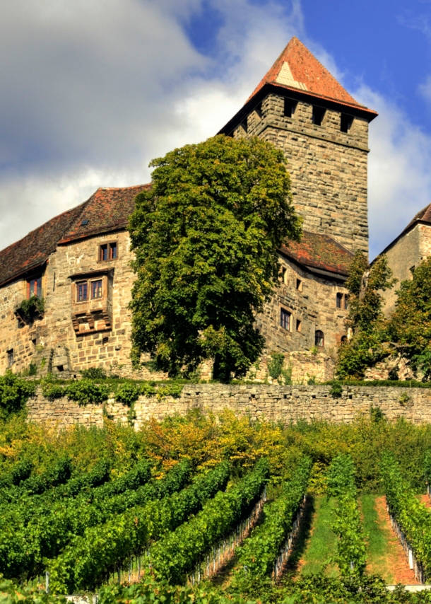 Die alte Burg Lichtenberg umgeben von Weinbergen