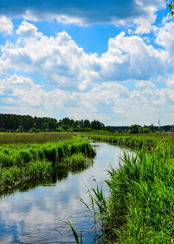 Blick auf die Eider in Schleswig-Holstein