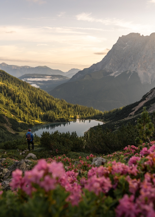 Eine Person steht an einem Bergsee inmitten grüner Vegetation vor Bergpanorama, im Vordergrund blühen rosafarbene Blumen